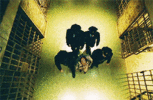 200.gif