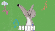 200.gif