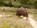 200.gif