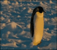 200.gif