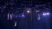 200.gif
