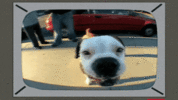 200.gif