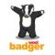 Badger_GT