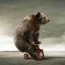 Bear Head